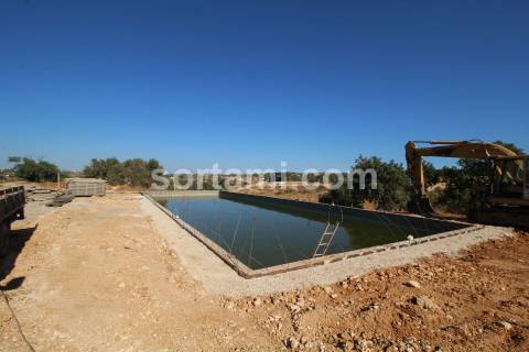 Quinta  Venda em Guia,Albufeira