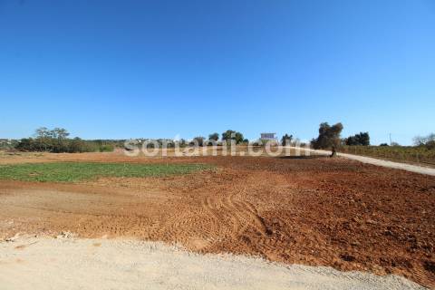 Quinta  Venda em Guia,Albufeira