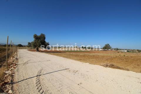 Quinta  Venda em Guia,Albufeira