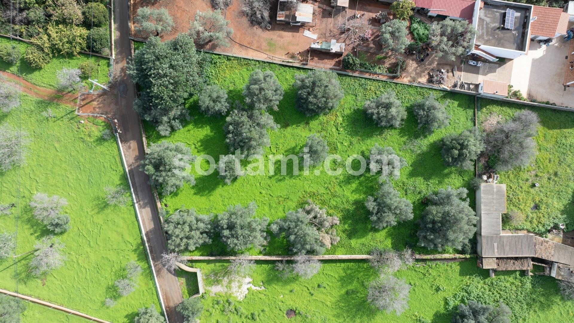Terreno Para Construção  Venda em Loulé (São Sebastião),Loulé