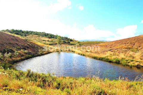 Terreno Para Construção  Venda em Portimão,Portimão