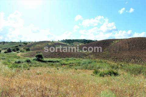 Terreno Para Construção  Venda em Portimão,Portimão
