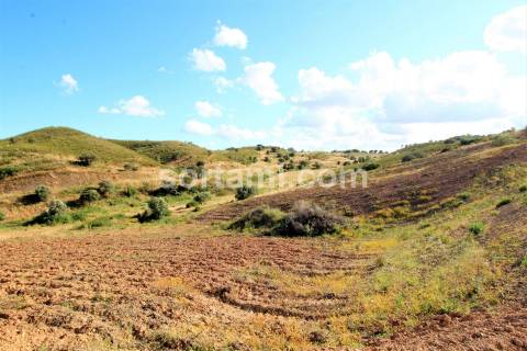 Terreno Para Construção  Venda em Portimão,Portimão