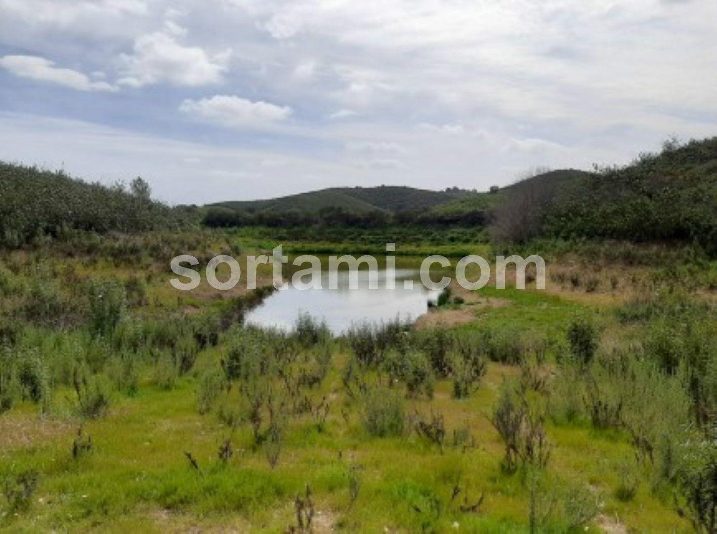 Terreno Para Construção  Venda em Portimão,Portimão