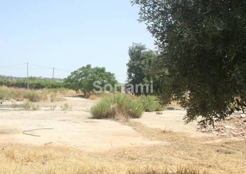 Terreno Rústico  Venda em Loulé (São Sebastião),Loulé