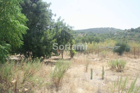 Terreno Rústico  Venda em Loulé (São Sebastião),Loulé