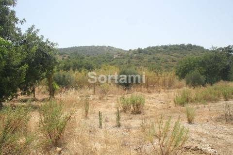 Terreno Rústico  Venda em Loulé (São Sebastião),Loulé