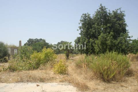 Terreno Rústico  Venda em Loulé (São Sebastião),Loulé