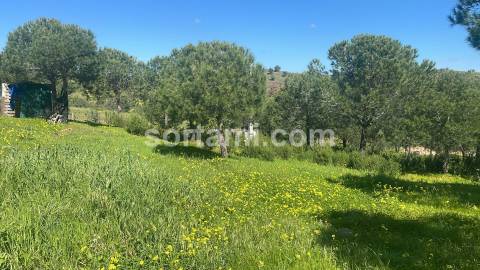 Terreno Rústico  Venda em Castro Marim,Castro Marim