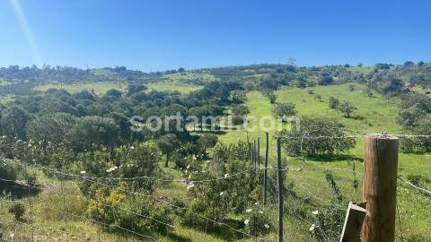 Terreno Rústico  Venda em Castro Marim,Castro Marim