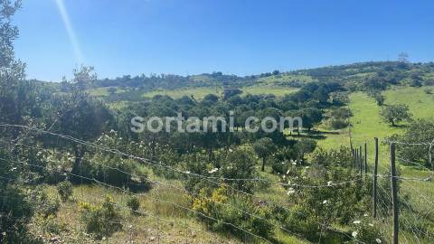 Terreno Rústico  Venda em Castro Marim,Castro Marim