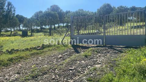 Terreno Rústico  Venda em Castro Marim,Castro Marim