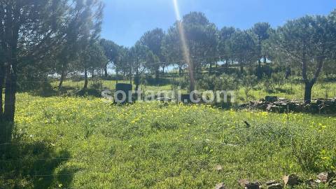 Terreno Rústico  Venda em Castro Marim,Castro Marim
