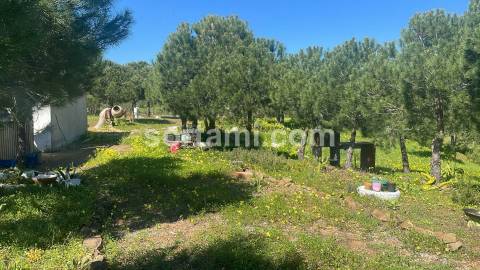 Terreno Rústico  Venda em Castro Marim,Castro Marim