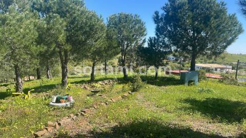 Terreno Rústico  Venda em Castro Marim,Castro Marim