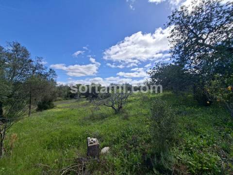 Moradia Isolada T3 Venda em Santa Bárbara de Nexe,Faro