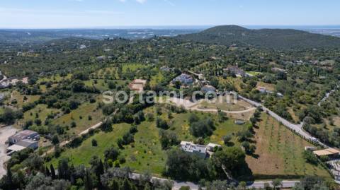 Moradia Isolada T3 Venda em Santa Bárbara de Nexe,Faro