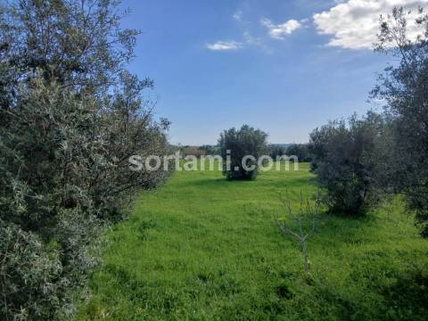Terreno Rústico  Venda em Ferreiras,Albufeira