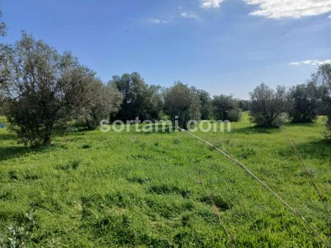 Terreno Rústico  Venda em Ferreiras,Albufeira
