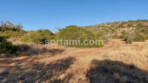 Terreno Rústico  Venda em Paderne,Albufeira