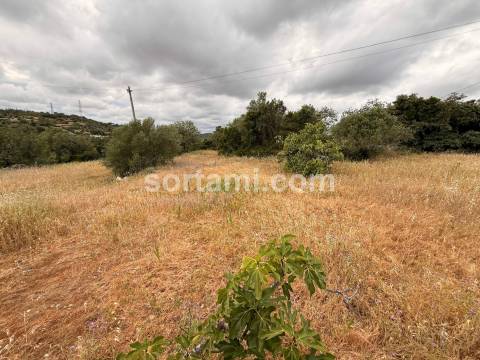Moradia Isolada T4 Venda em Conceição e Estoi,Faro