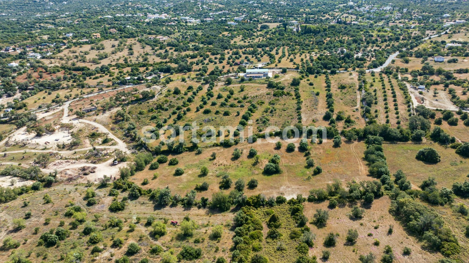 Terreno Rústico  Venda em Santa Bárbara de Nexe,Faro