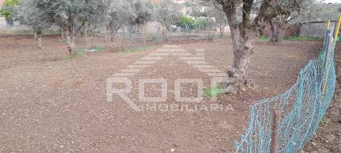 Quintinha T2 Venda em Santiago Maior,Alandroal