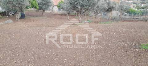 Quintinha T2 Venda em Santiago Maior,Alandroal