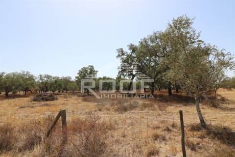 Terreno Rústico  Venda em Vila Nova da Baronia,Alvito