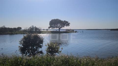 Terreno Para Construção  Venda em Póvoa de São Miguel,Moura