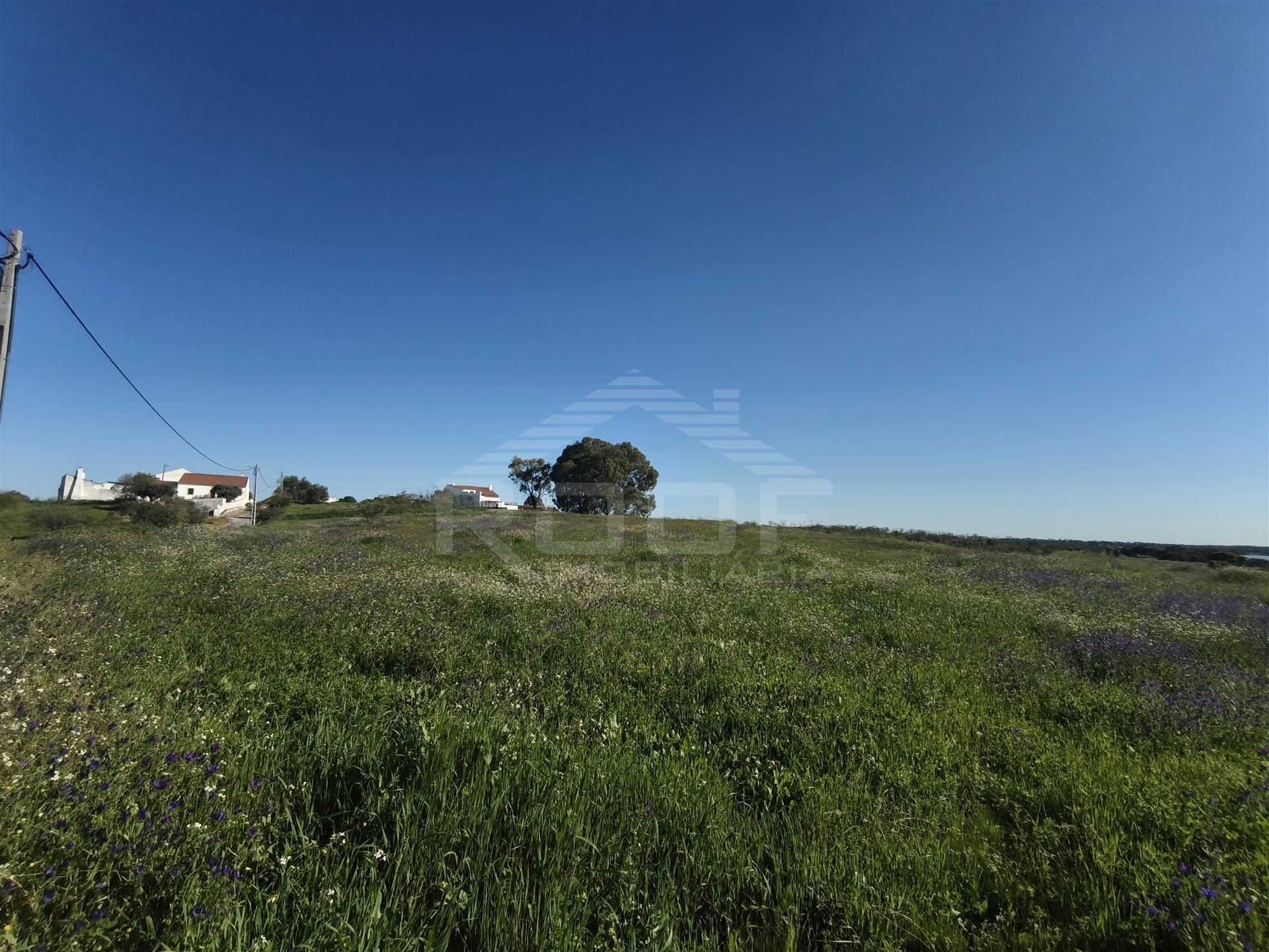 Terreno Para Construção  Venda em Póvoa de São Miguel,Moura