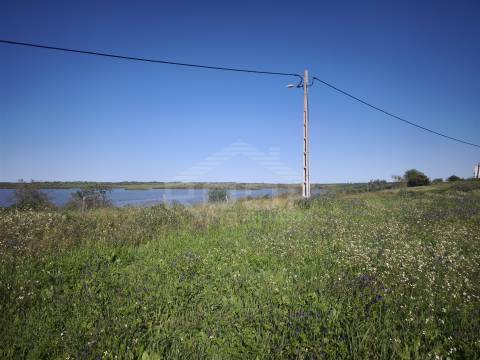 Terreno Para Construção  Venda em Póvoa de São Miguel,Moura
