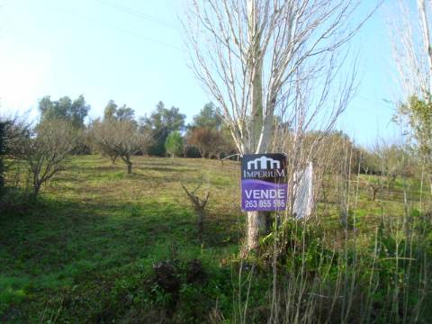 Terreno  Venda em Alenquer (Santo Estêvão e Triana),Alenquer