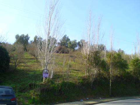 Terreno  Venda em Alenquer (Santo Estêvão e Triana),Alenquer