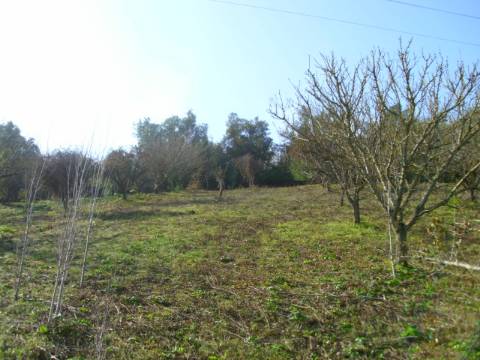 Terreno  Venda em Alenquer (Santo Estêvão e Triana),Alenquer