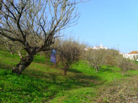 Terreno  Venda em Alenquer (Santo Estêvão e Triana),Alenquer