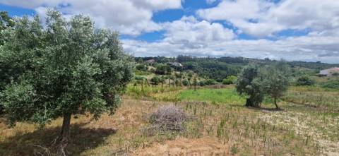 Lote de Terreno  Venda em Meca,Alenquer