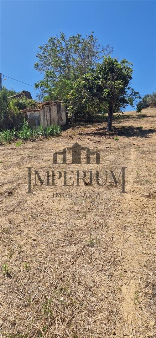 Quintinha  Venda em Meca,Alenquer