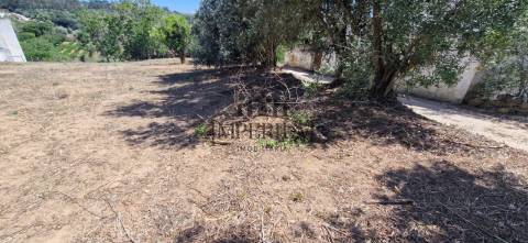 Quintinha  Venda em Meca,Alenquer