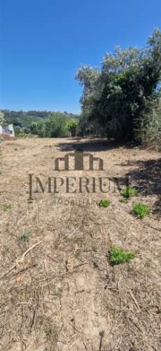 Quintinha  Venda em Meca,Alenquer