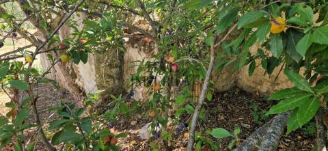 Quintinha  Venda em Meca,Alenquer
