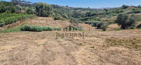 Quintinha  Venda em Meca,Alenquer