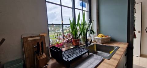 Apartamento T0 Venda em Quinta do Anjo,Palmela