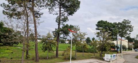 Apartamento T0 Venda em Quinta do Anjo,Palmela