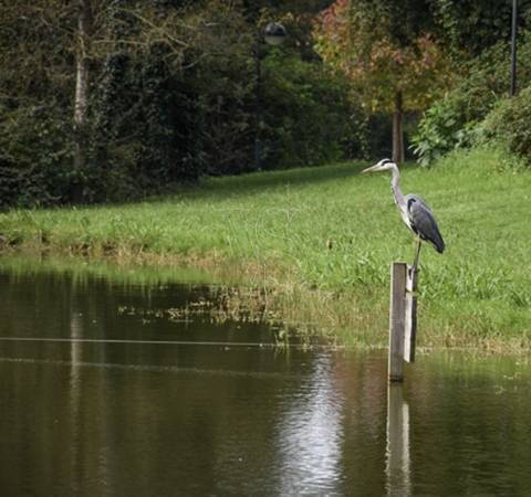 Exclusivo Apartamento T3 a 200 mt praia de Matosinhos - Cond.Luxo c/Piscina.