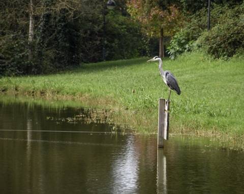 Cobertura T4 Exclusiva em Matosinhos Sul – Pronta a Habitar - 800 mt Praia de Matosinhos