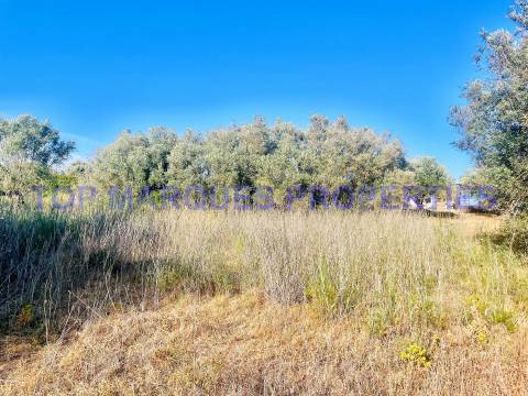 Terreno Misto  Venda em Quelfes,Olhão