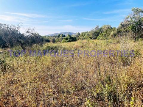 Terreno Misto  Venda em Quelfes,Olhão