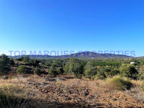 Terreno Misto  Venda em Quelfes,Olhão