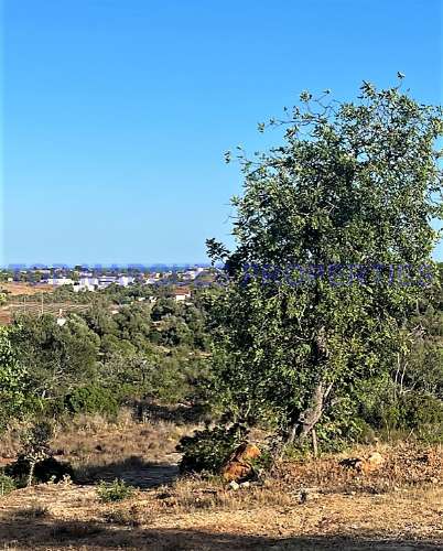 Terreno Misto  Venda em Quelfes,Olhão
